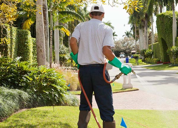 About Fulton KS Pest Control